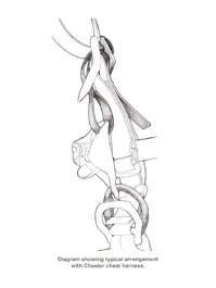 Lyon Croll Strap
